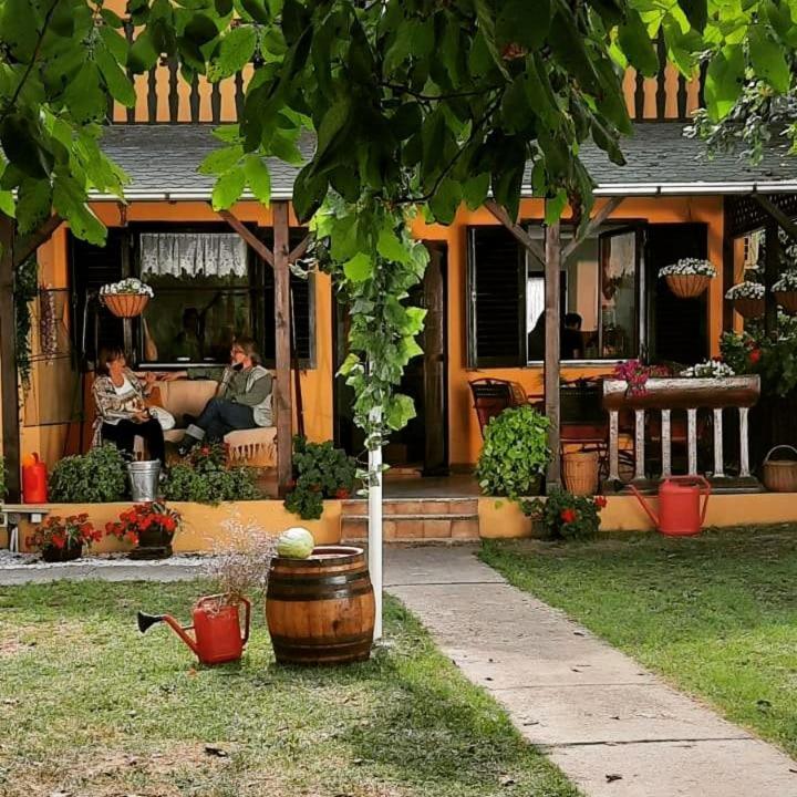 Kuca Ribarev San Villa Beocin Luaran gambar